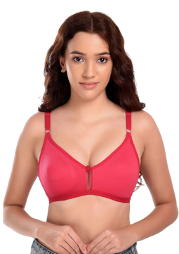 Women Cotton Non Padded Dual Layered Fabric Regular Bra with net